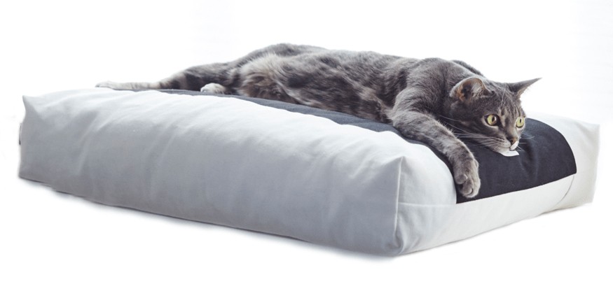 PADI modern catbed vit