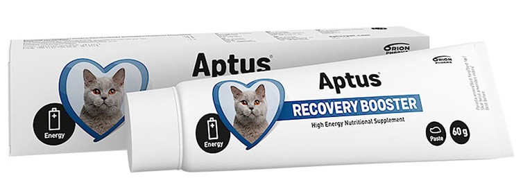 Recovery Booster Cat - näringspasta