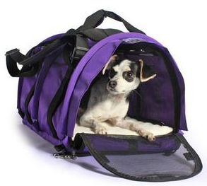 Sturdibag Large pro 2.0