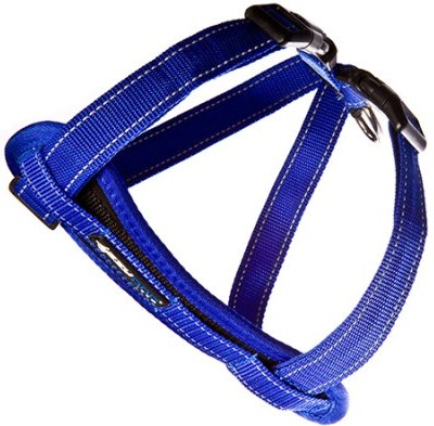 Ezydog kattsele blå, med bilbältes-hållare XXS