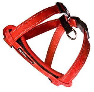 Ezydog kattsele röd, med bilbältes-hållare XS