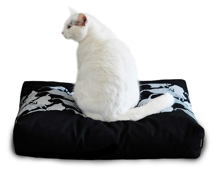 PADI modern catbed svart