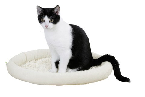 Kattsäng moppy gräddvit