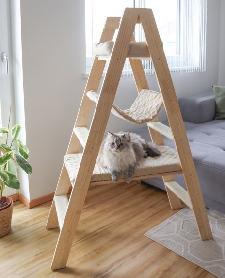 Kattmöbel stege trä