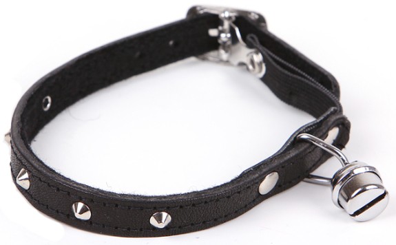 Katthalsband svart med nitar