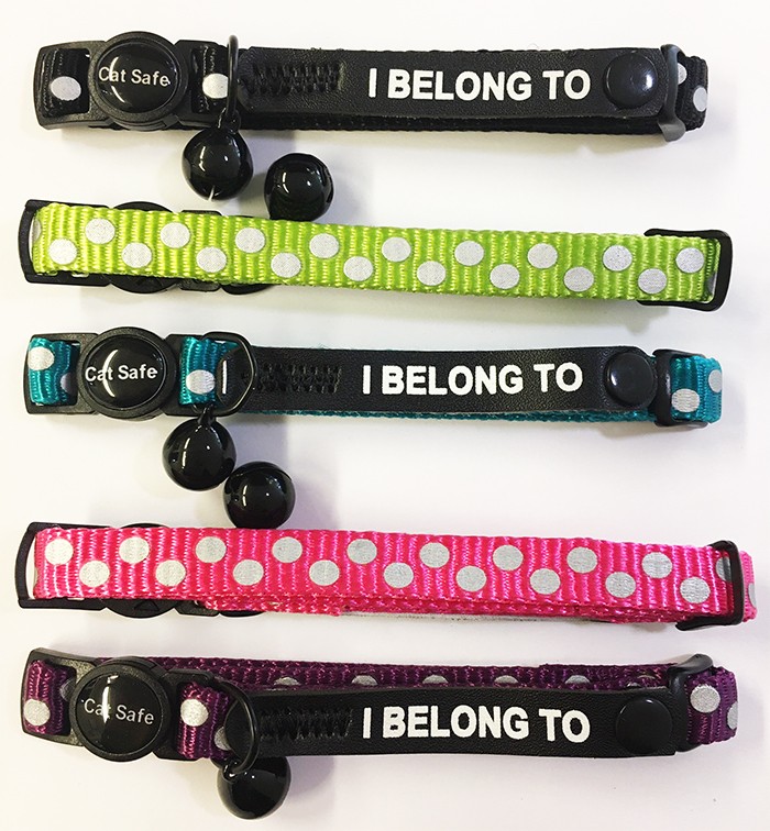 Katthalsband Dots turkos