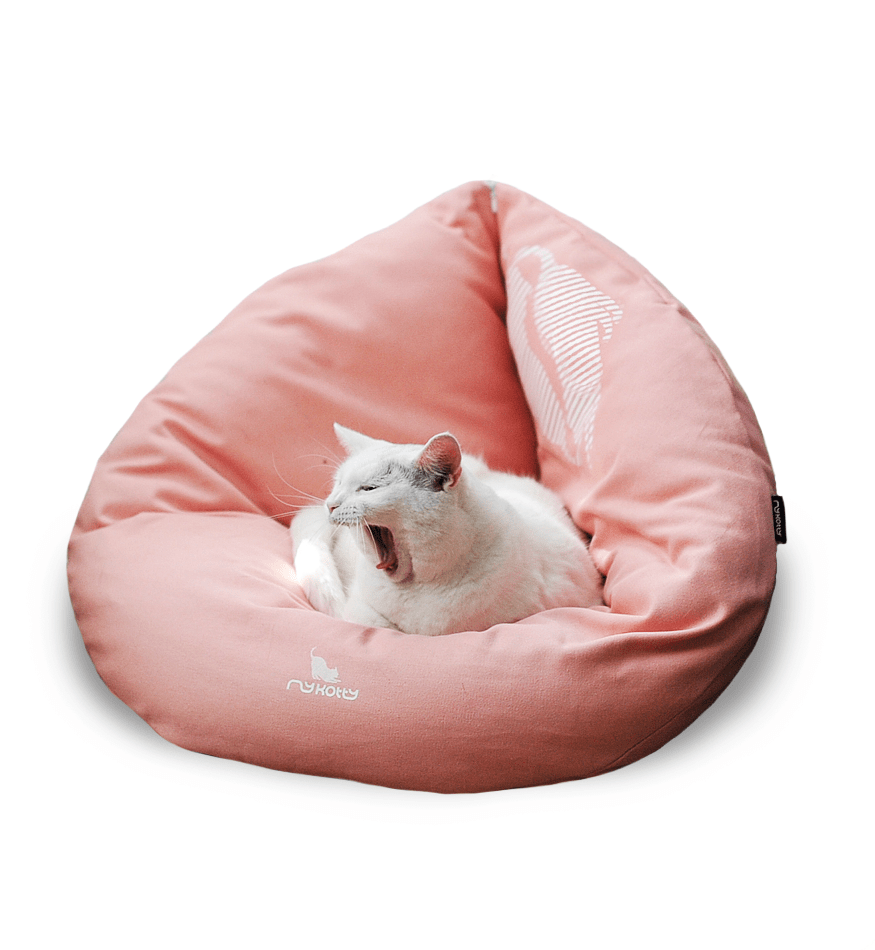 EMI modern catbed rose