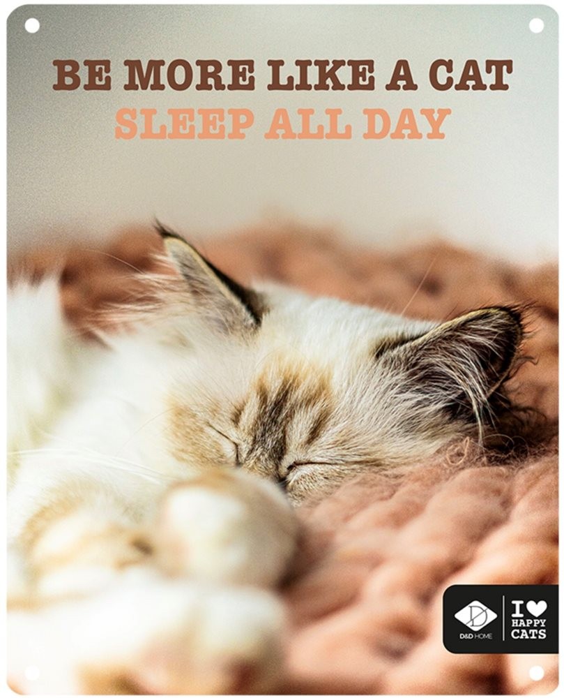 Kattskylt "...sleep all day"
