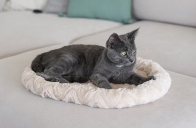 Kattbädd cosy beige