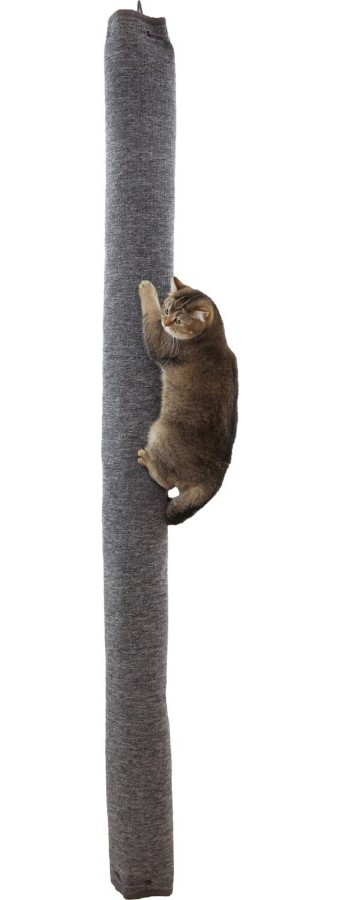 Cat scratching climber Carpet