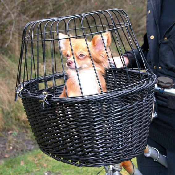 Cykelkorg i rotting med dyna