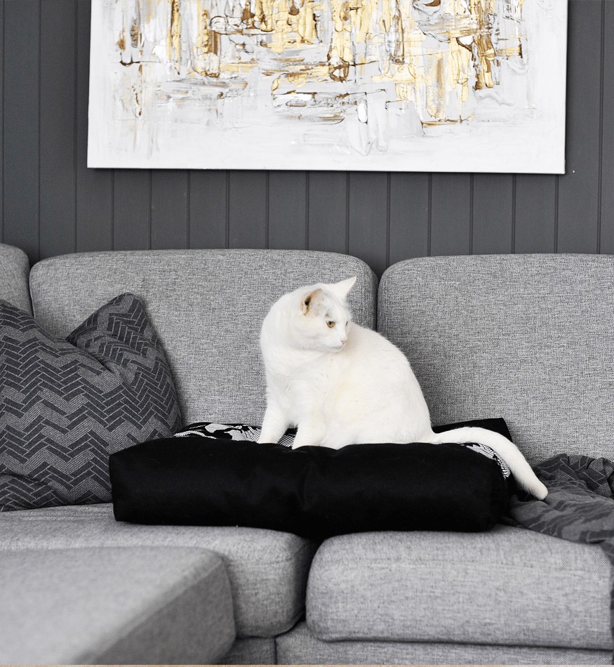 PADI modern catbed svart