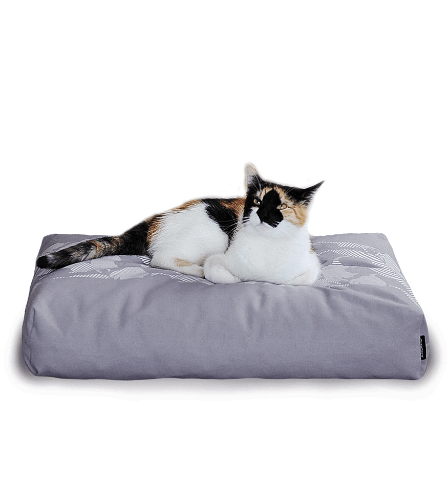PADI modern catbed grå