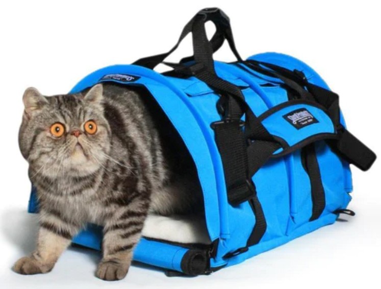 Sturdibag Large Divided Pro 2.0