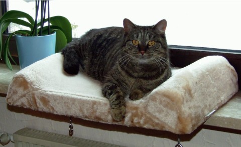 Sovplats fönsterbräda beige