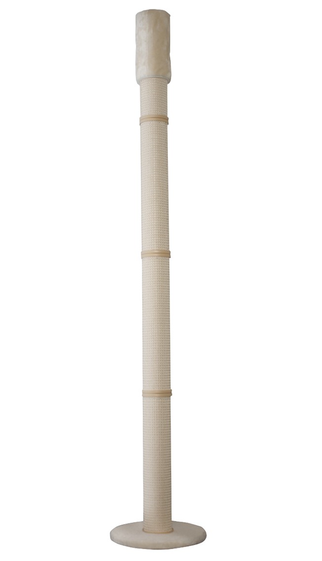 Galoppträd klösträd Cream