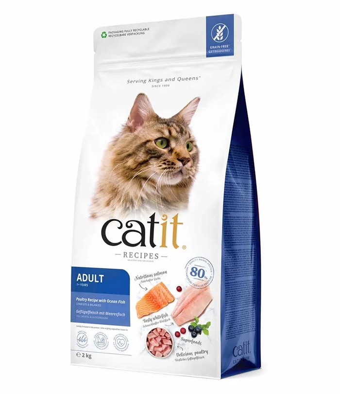 CatIt Adult Fish 2 kg