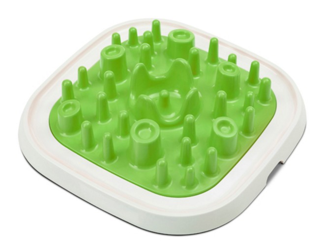 Pet Enigma aktiveringsbräda ljusgrön