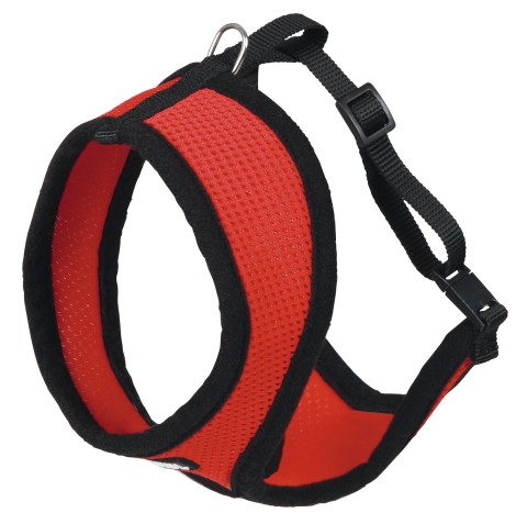 Active Harness röd, med koppel