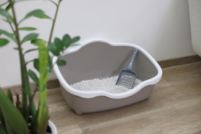 Kattlåda Très Chic open