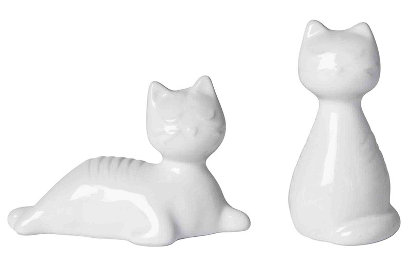 Salt och peppar vit katt
