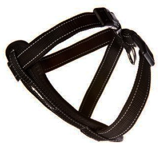 Ezydog kattsele svart, med bilbältes-hållare XS