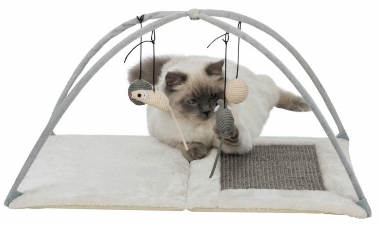 Kattleksak lekmatta / kattungegym