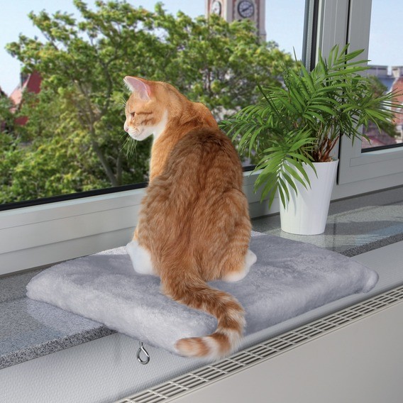 Fönsterbräda för katt - Fönsterbräda