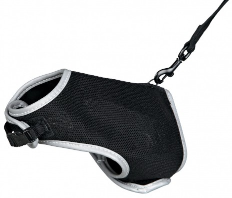 Mjuk kattsele med koppel