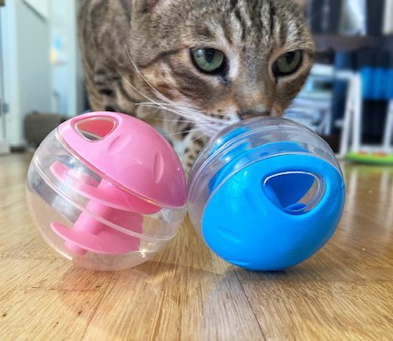 Aktivitetskula CatIt Blå