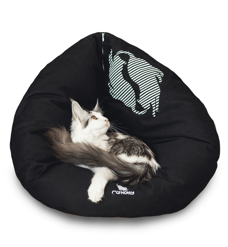 EMI modern catbed black