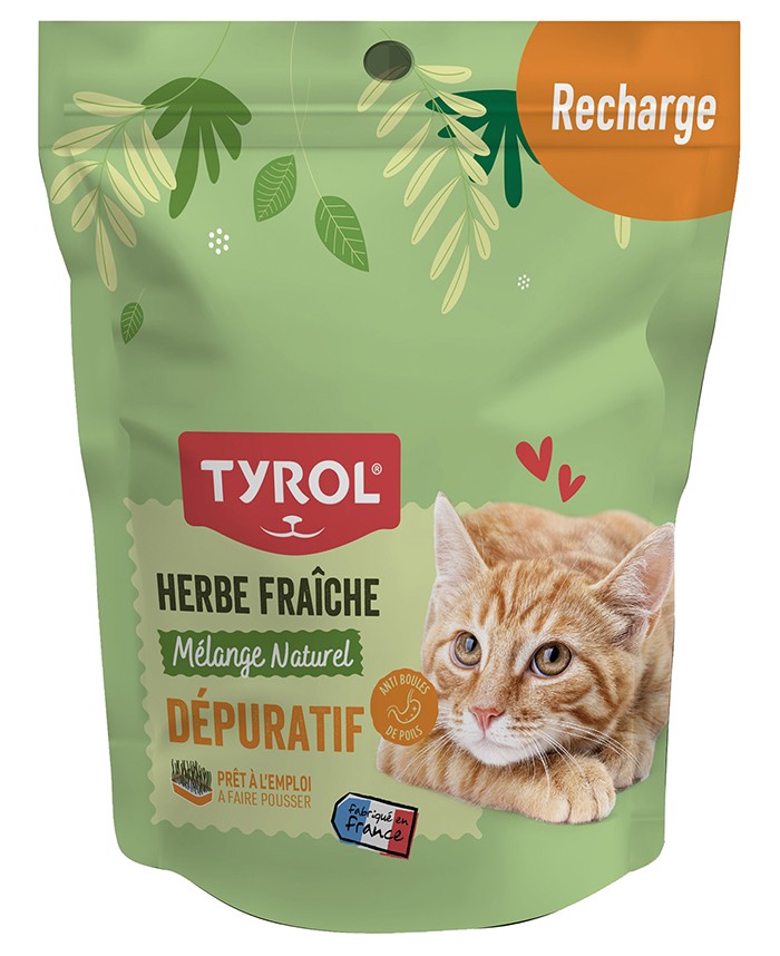 Kattgräs frö, 220 g stor påse