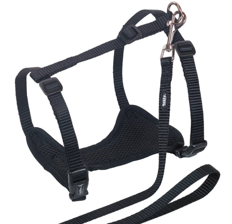 Kattsele med koppel Mesh Svart L-XL