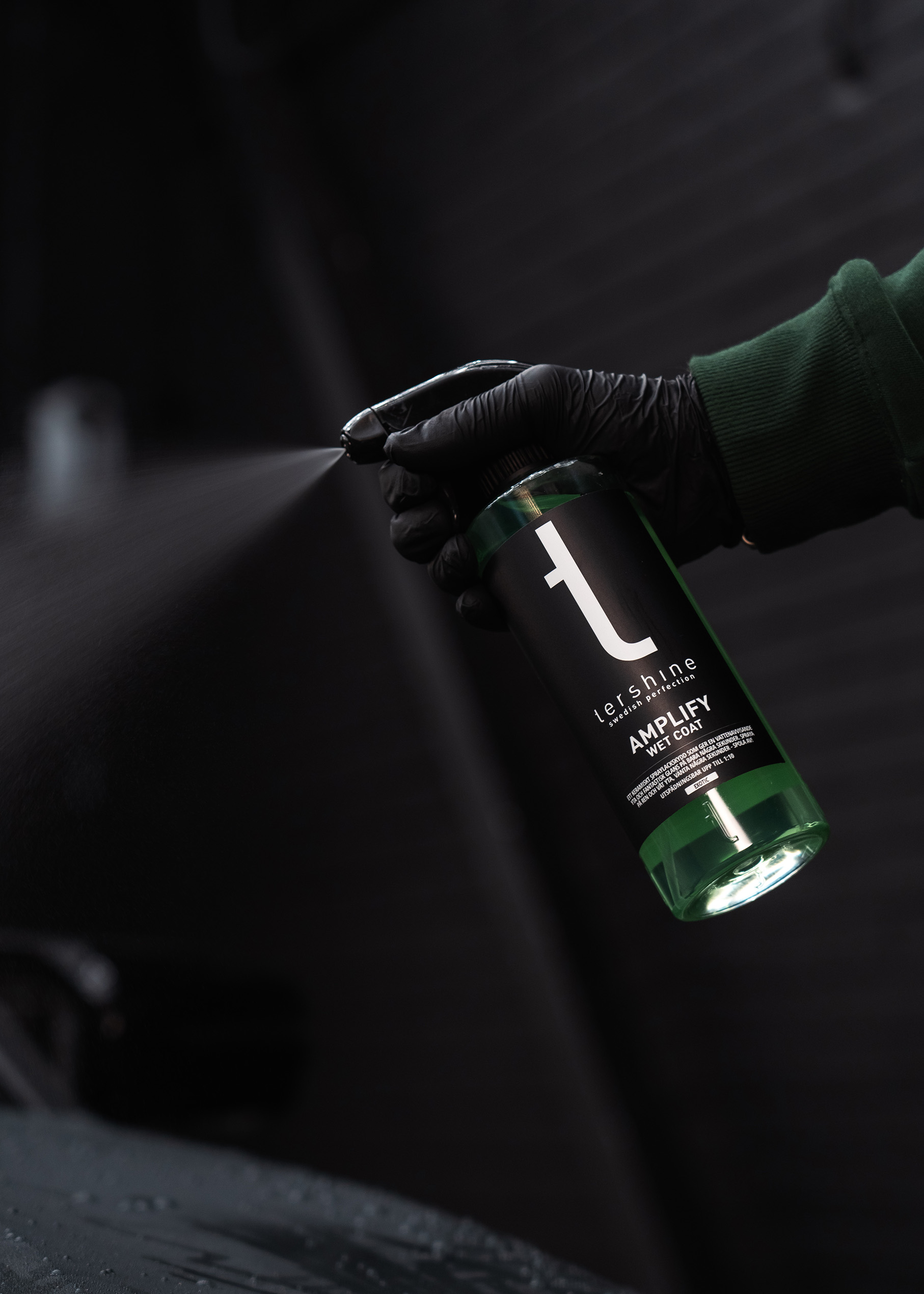 tershine amplify wet coat