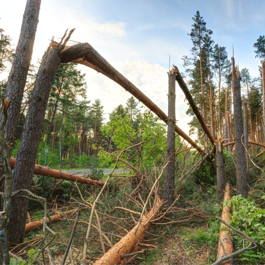 Stormskadeinventering med drönare - dokumentation som försäkringsbolaget accepterar
