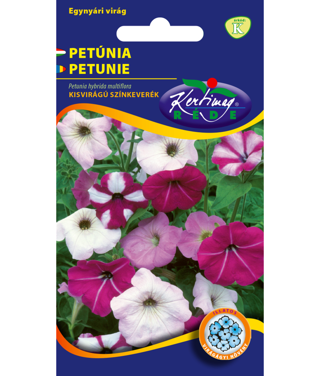 Petunia – Rikblommande småblommig färgmix för kruka och rabatt