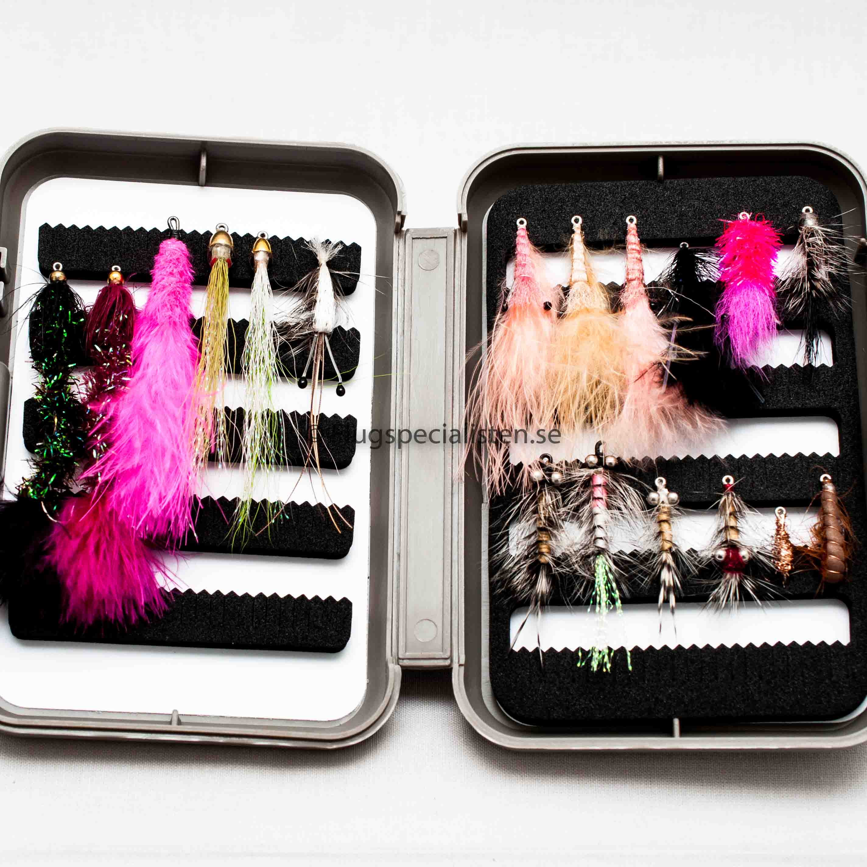 Guidens Val Av Havs ringsflugor