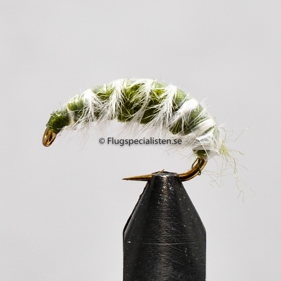 Gammarus