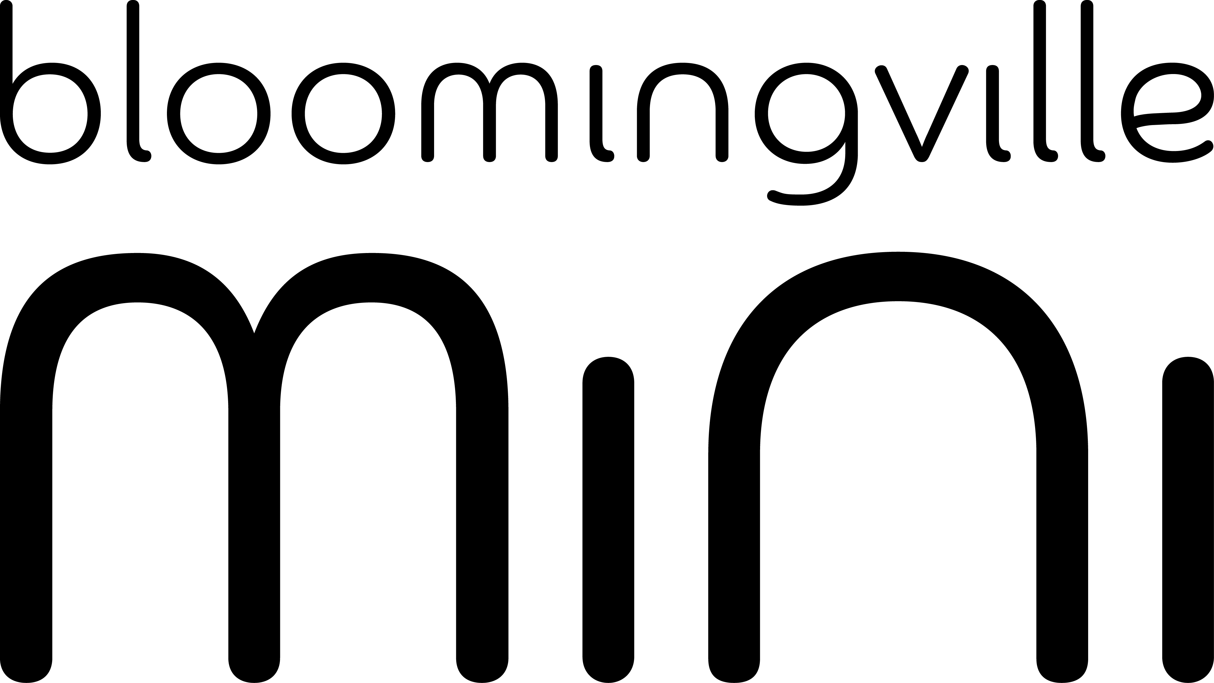 BLOOMINGVILLE MINI