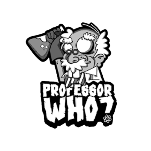 Professor Who?