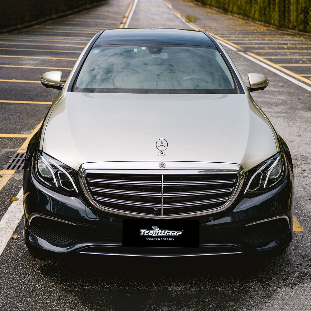 TeckWrap RB31-HD Silver Fern