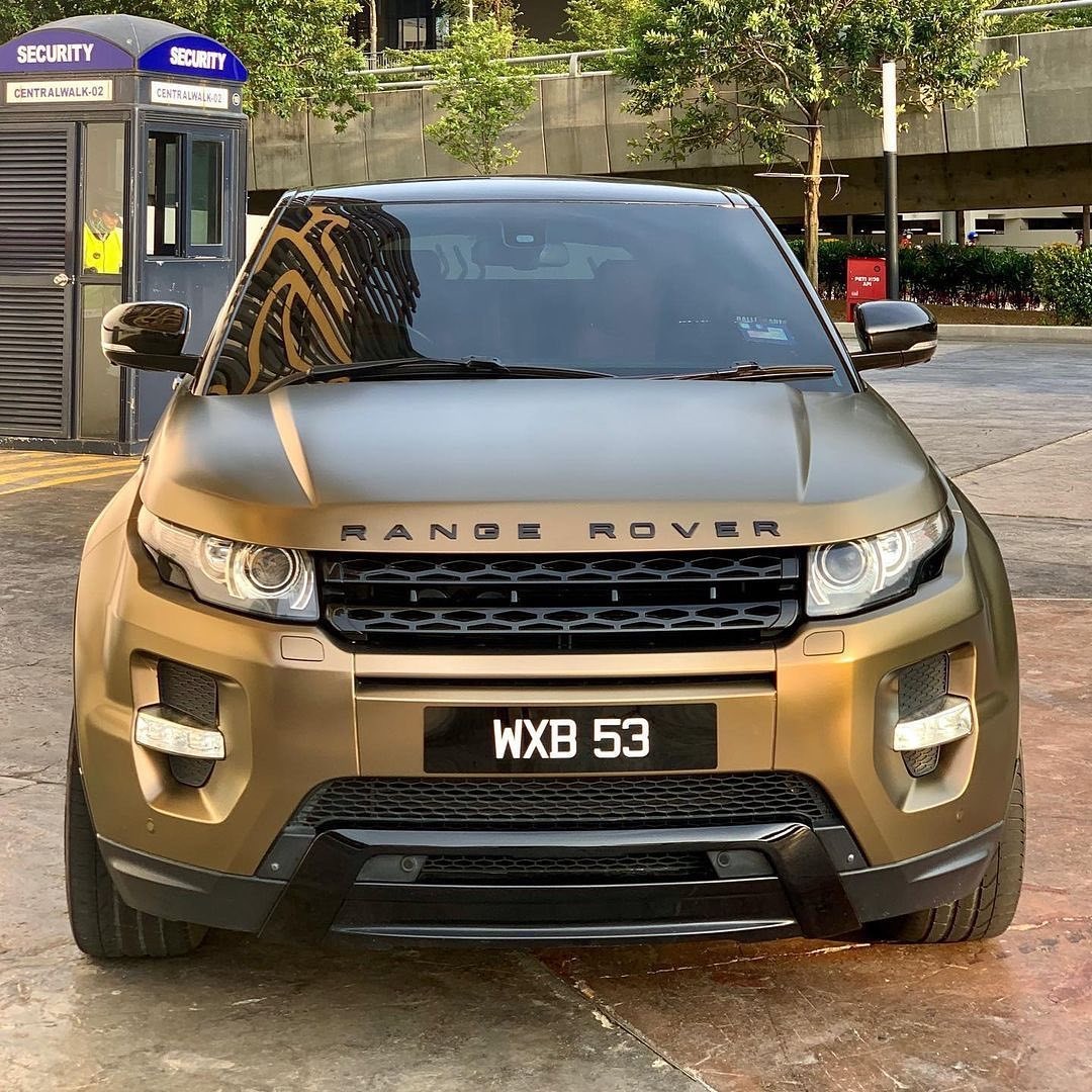 TeckWrap ECH17 Bond Gold