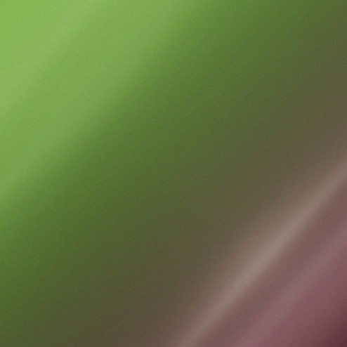 ORACAL 970GRA - 317 AVOCADO