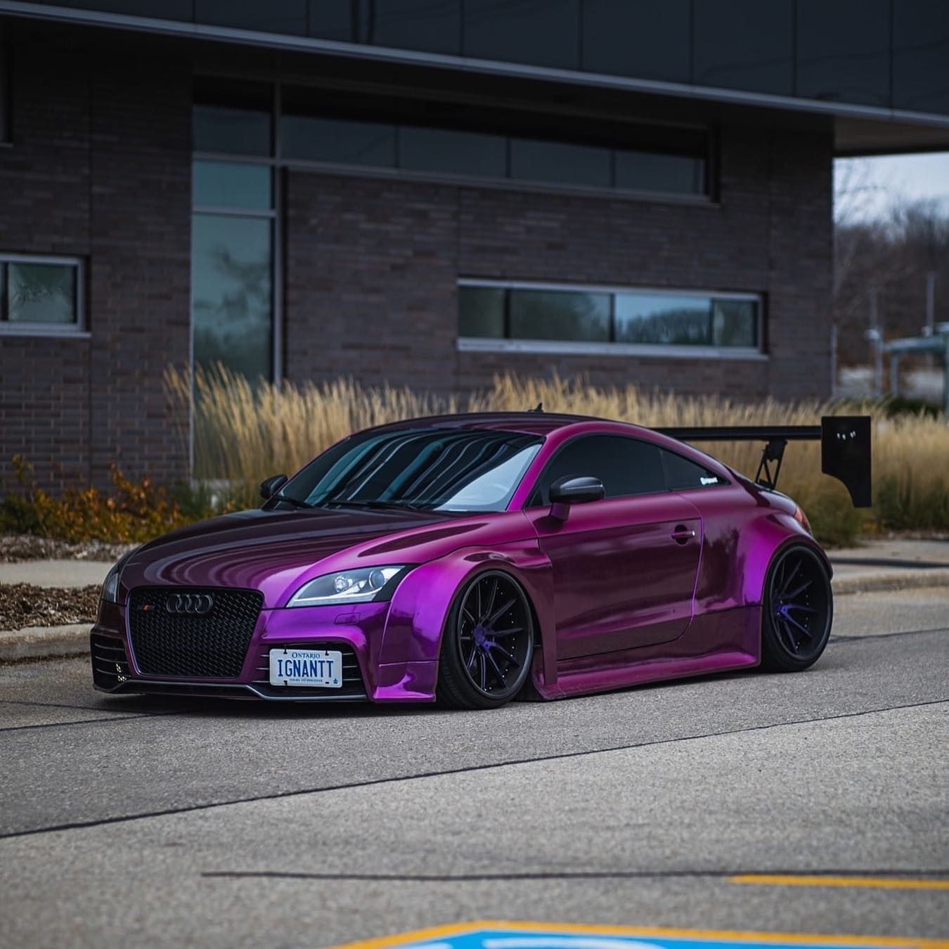 TeckWrap RB04-HD Passionate Purple