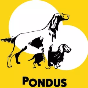 Pondusfoder